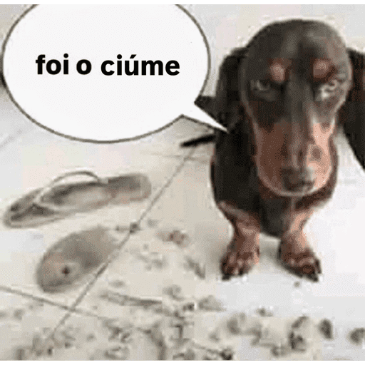 O nome dele é Bob 4