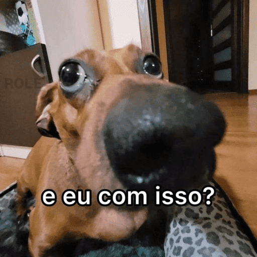 O nome dele é Bob 5
