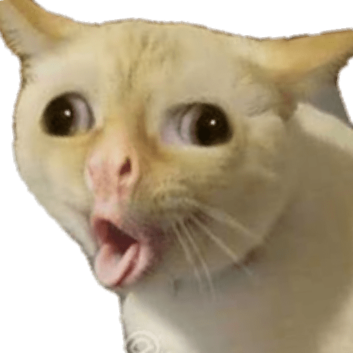 Memes 36 15