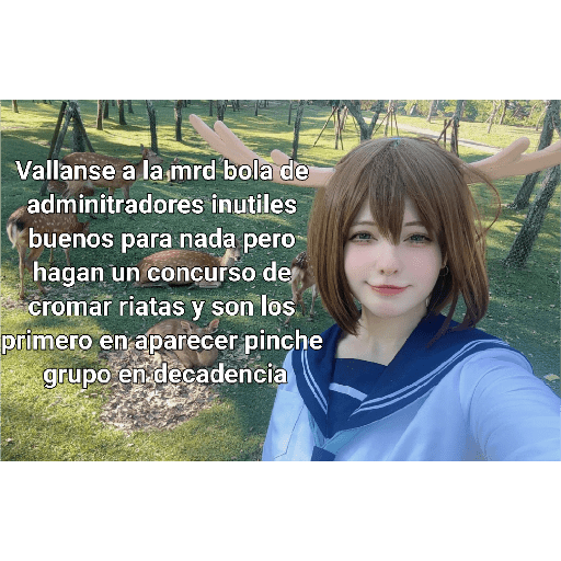 Memes 36 5