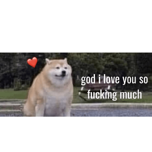 Love and affection 5