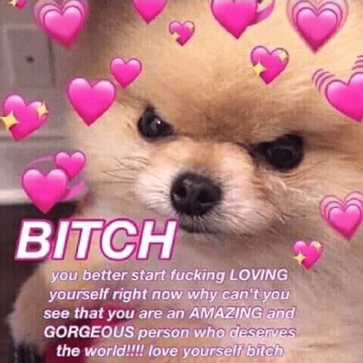 Love and affection 2
