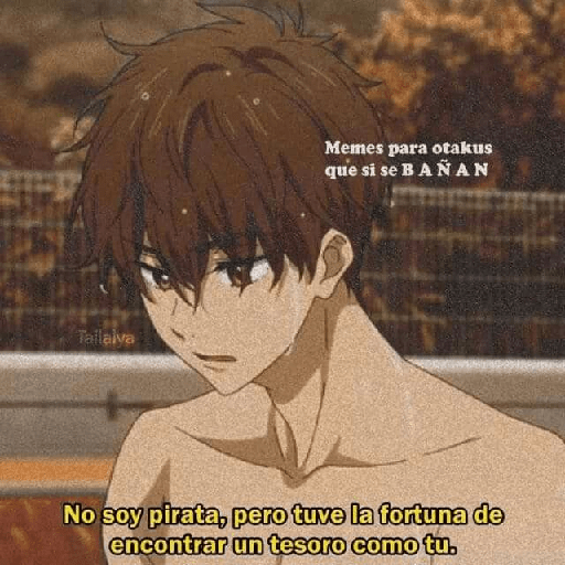 Anime-stick 14