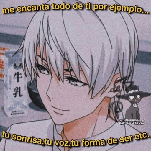 Anime-stick 10