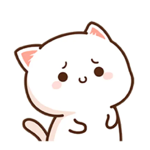 PeachCat7 28