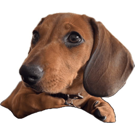 My stickers 8