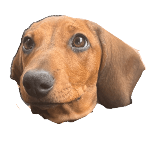 My stickers 20