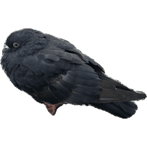 My stickers 24