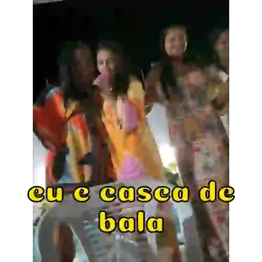 Minhas figurinhas 12