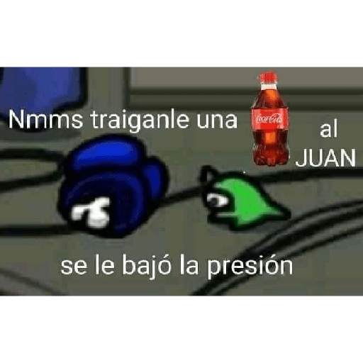 Momos 20 23