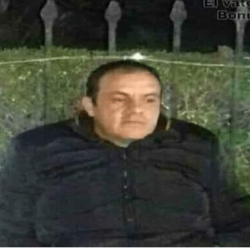 Momos 20 17