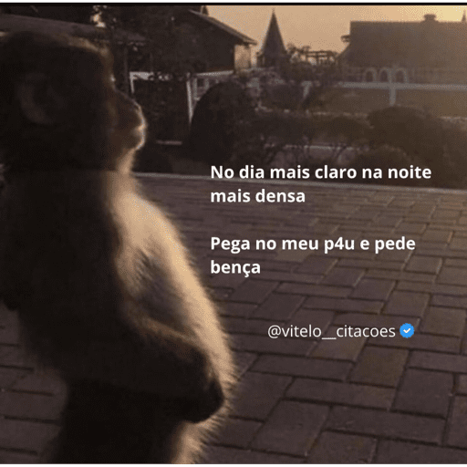 🐒🐒kkkkkkkk 10