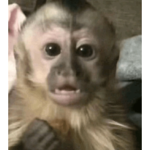 Sticker de tiktok 13