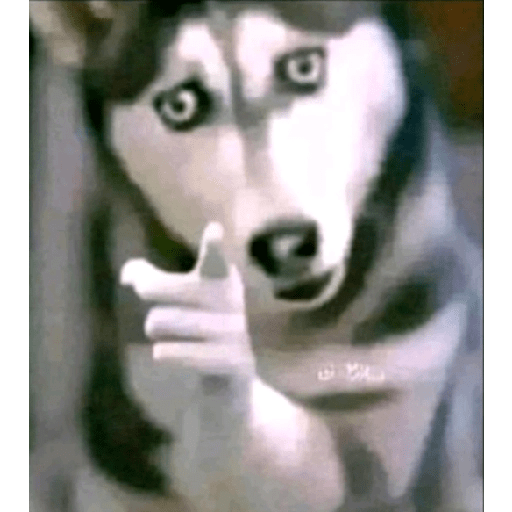 Sticker de tiktok 22