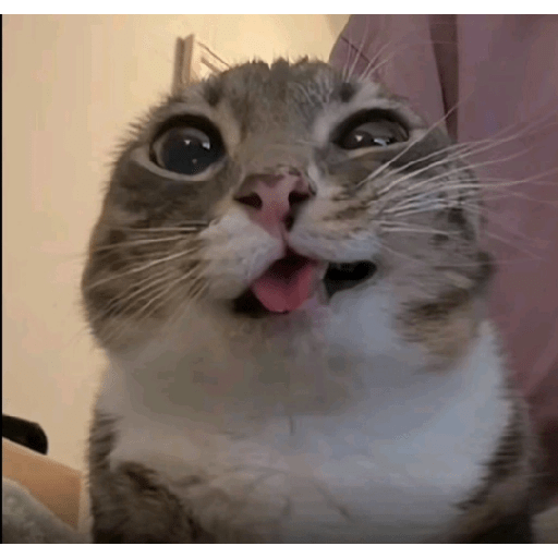 Stickers tiktok 5 27