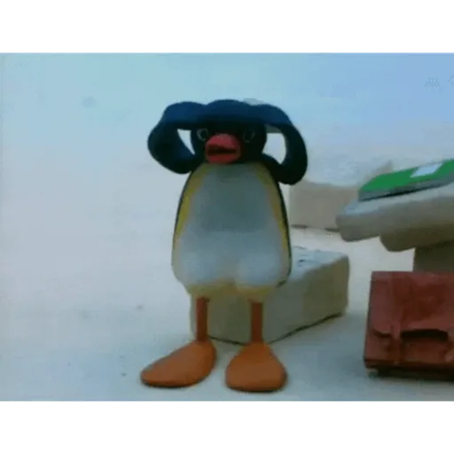 PINGU 11