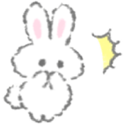 𐔌      ♡    Bunny 13