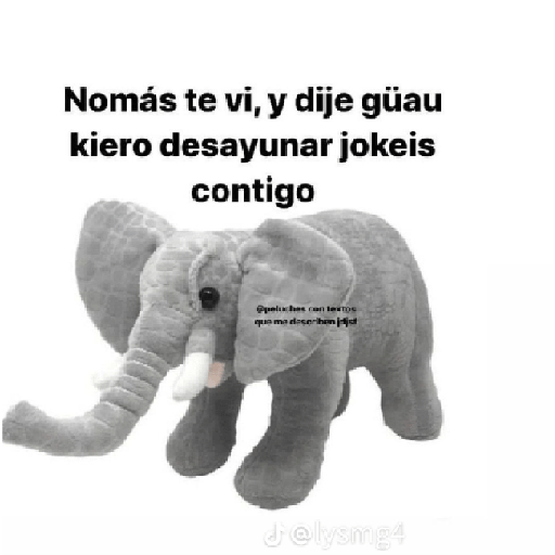 Nosex2 23