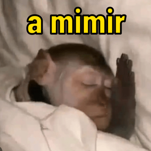 Deboches and memes 15