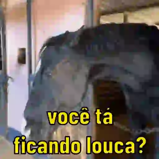 Variedade de reações 😂 7