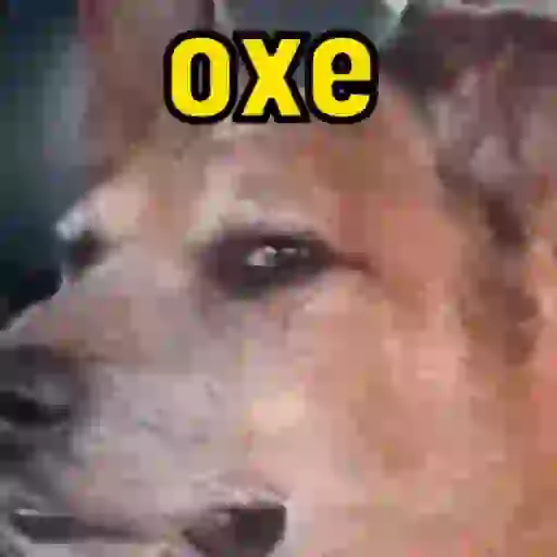 Variedade de reações 😂 15