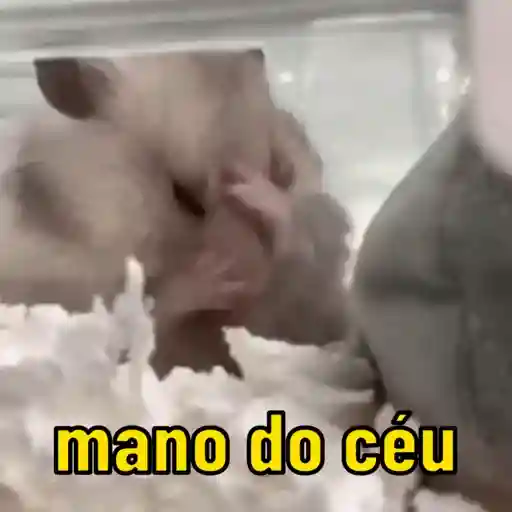 Variedade de reações 😂 11