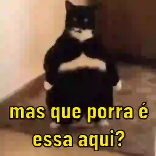 Variedade de reações 😂 9