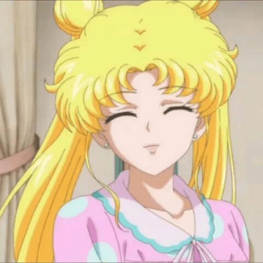 Serena Usagi 15
