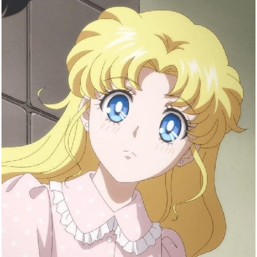 Serena Usagi 17