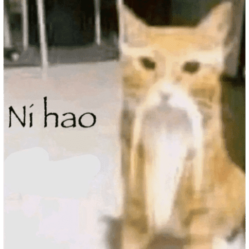 Biscoto 12