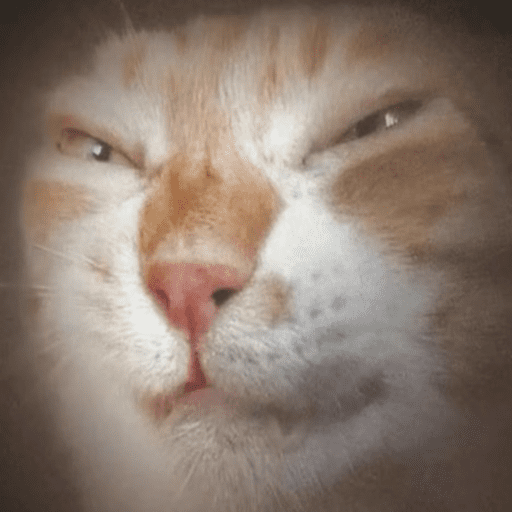Biscoto 10