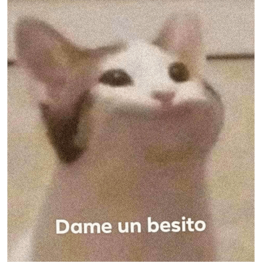 Bob 5