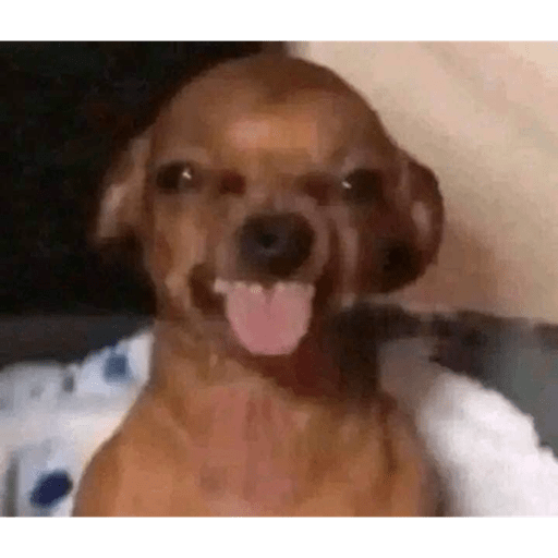 Bob 17