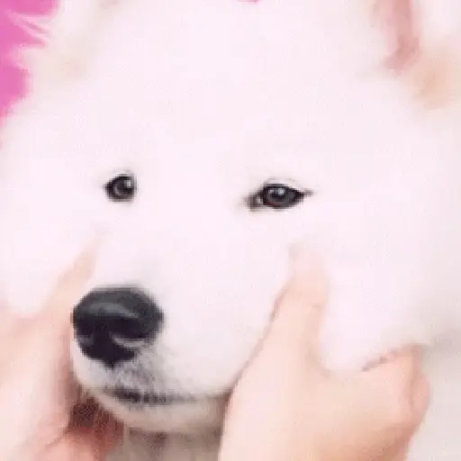 ꒰ა cute ໒꒱ ‧ #2 9