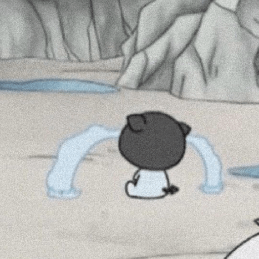 Llanto anime /llorar anime 8
