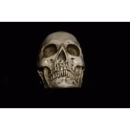 Calaveras
