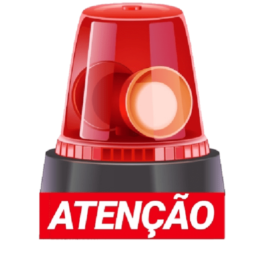 Aleatório  13