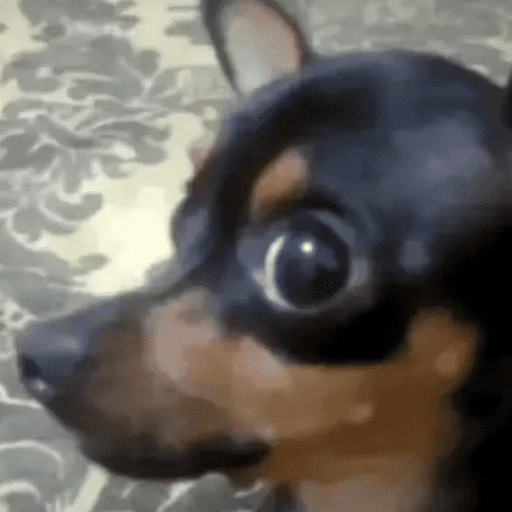 Aleatório  7