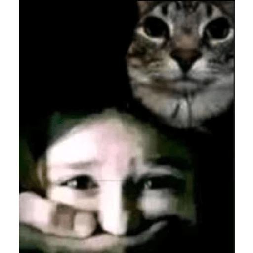 Twitter chernobyl3 25