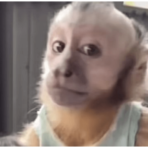 Twitter chernobyl3 3