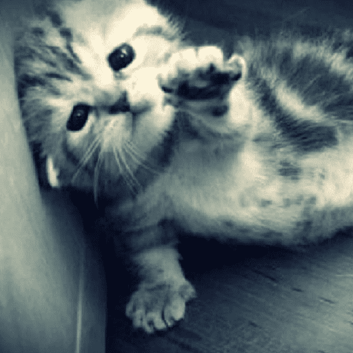 Bleeeh 4
