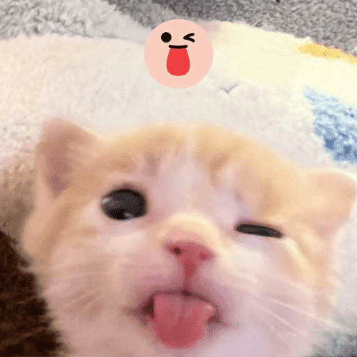Bleeeh 6