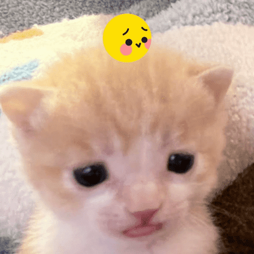 Bleeeh 8