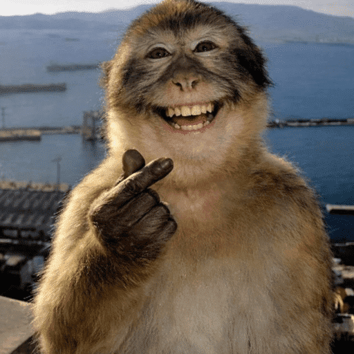 Bleeeh 5