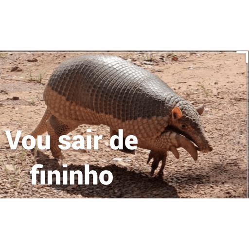 Minhas figurinhas caseiras I 23