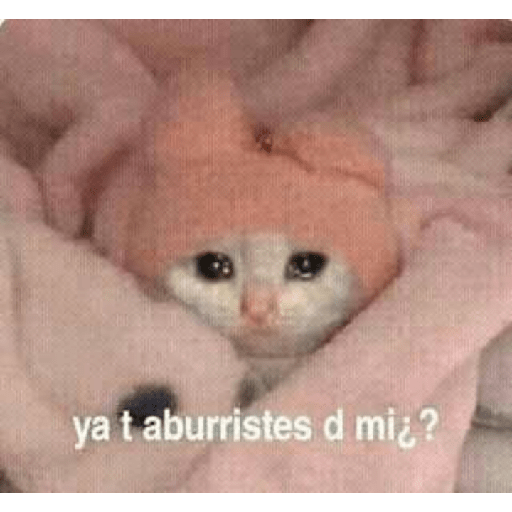 Gente homosexual 28