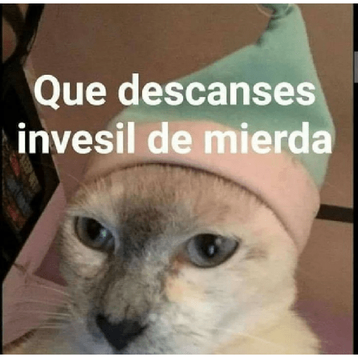 Gente homosexual 27