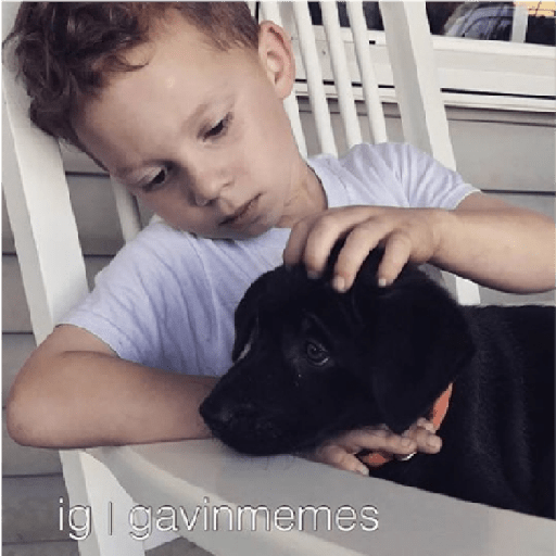 Niño de los memes 24