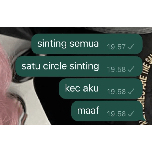 Kata-kata chat emosi / marah  22