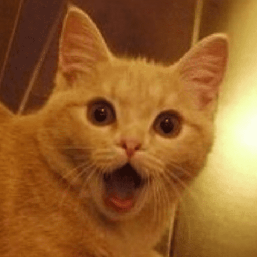 Meme kucing oren 3